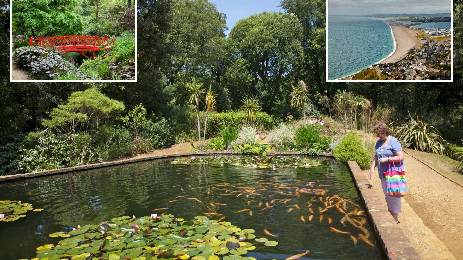 English subtropical gardens with their own microclimate 'feel like abroad'