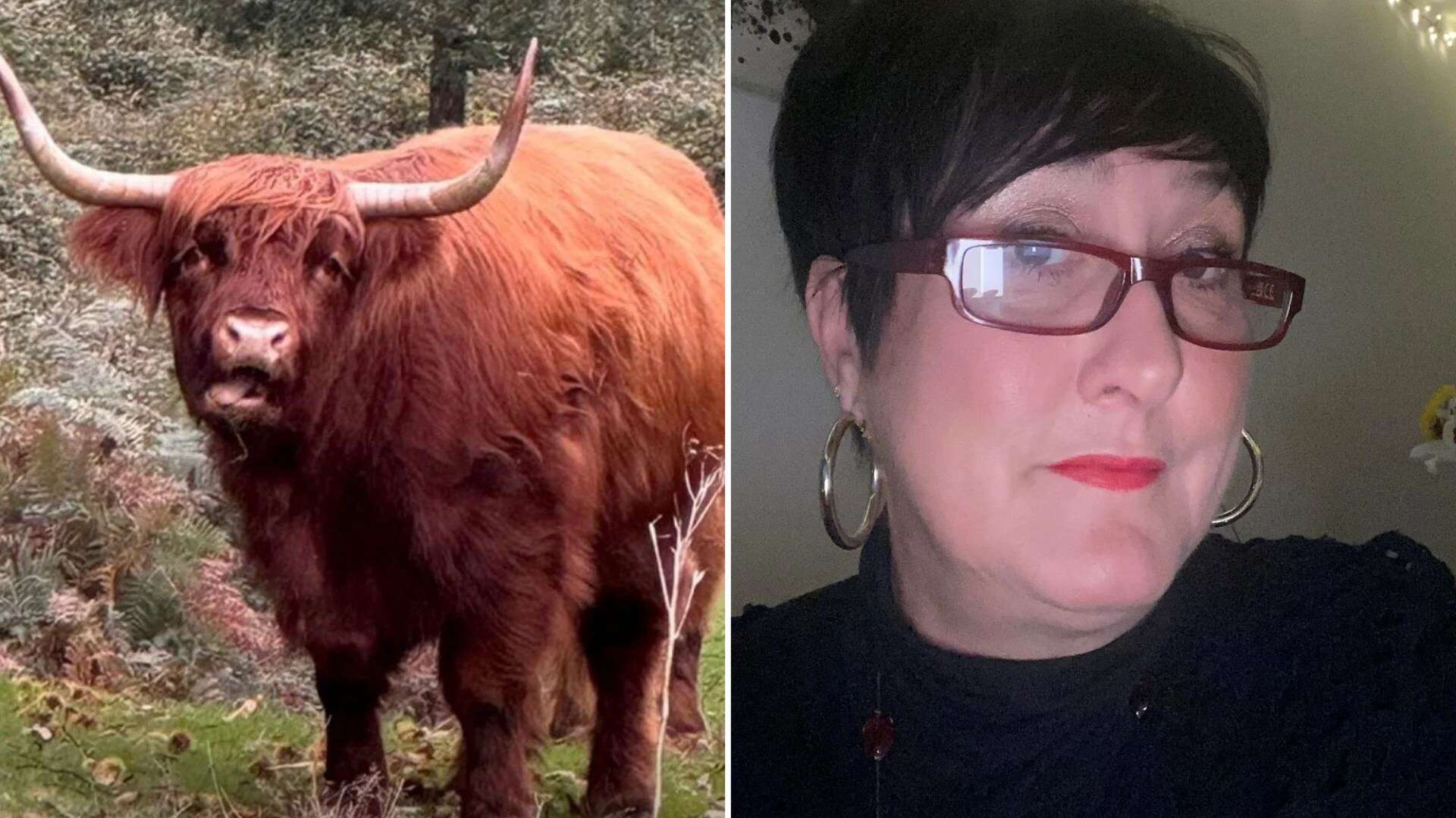 Horror as mum is IMPALED on cow's horn & hurled two feet into the air