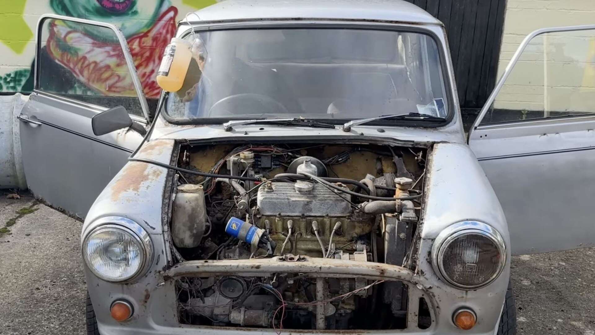 I found two rusting Austin Minis left to rot ... they can be worth £1,000s