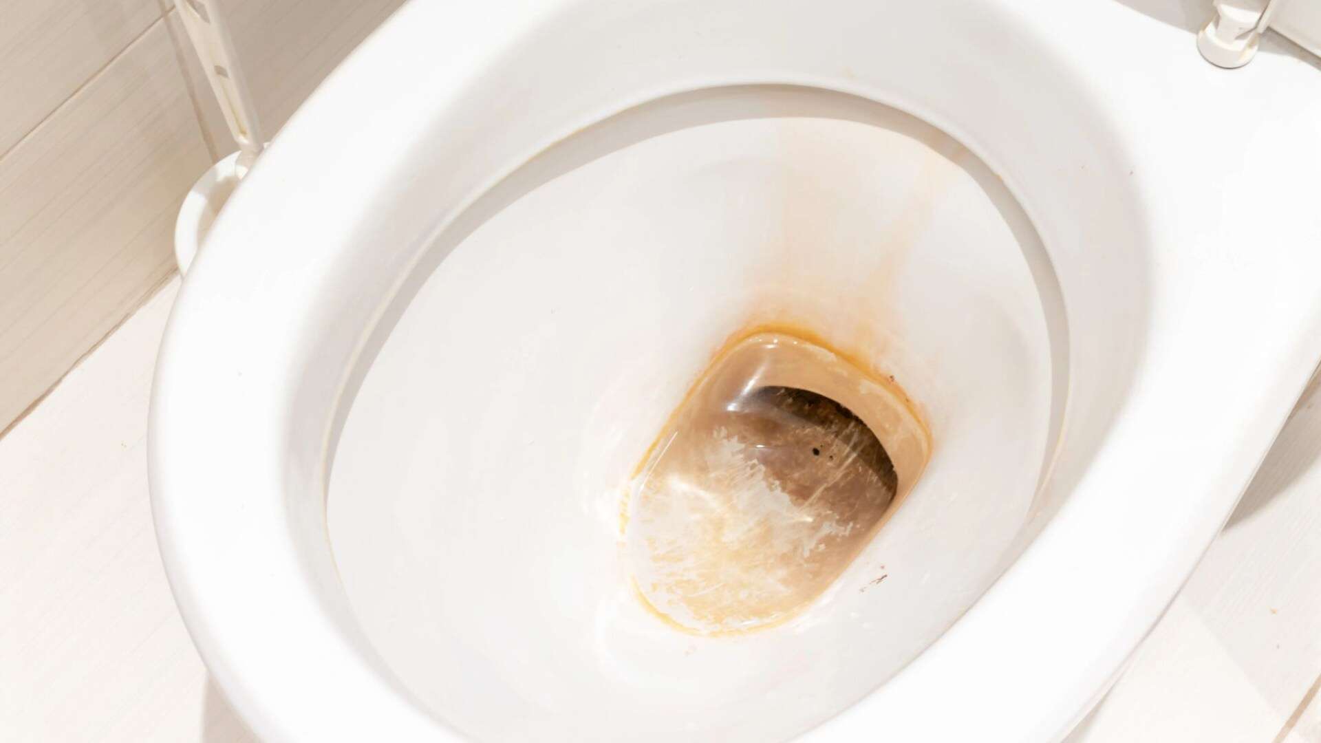 You'll never clean your toilet again with my £1.65 tip - stop build up for good