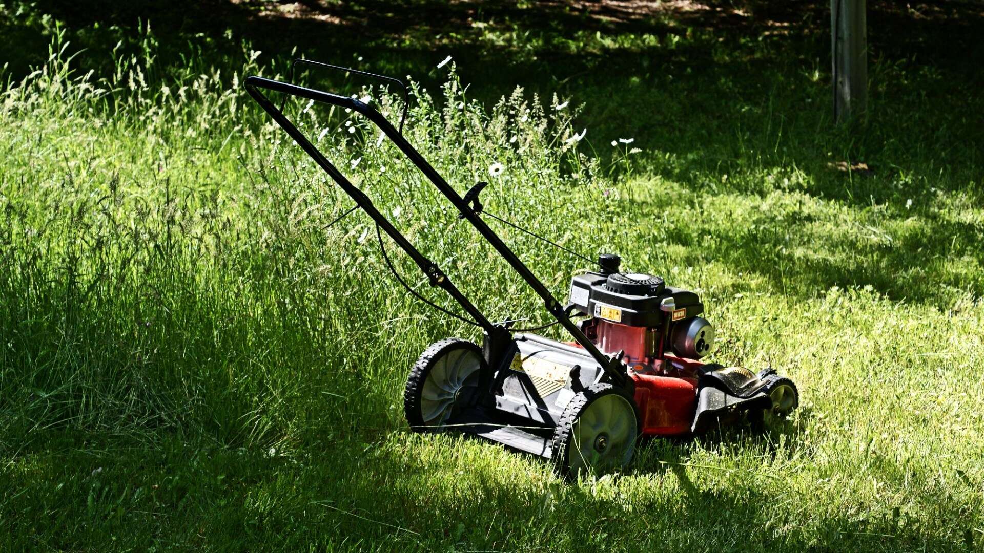 When to stop cutting your lawn this winter depending on where in you live