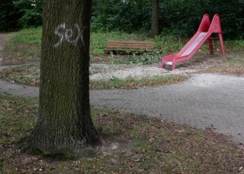 Busted: Couple arrested for having sex in park – in front of CHILDREN