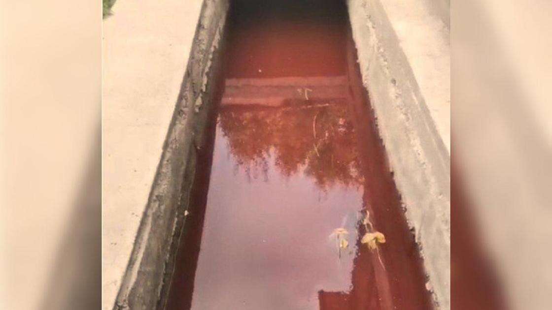 Вода окрасилась в красный цвет в арыке в Шымкенте