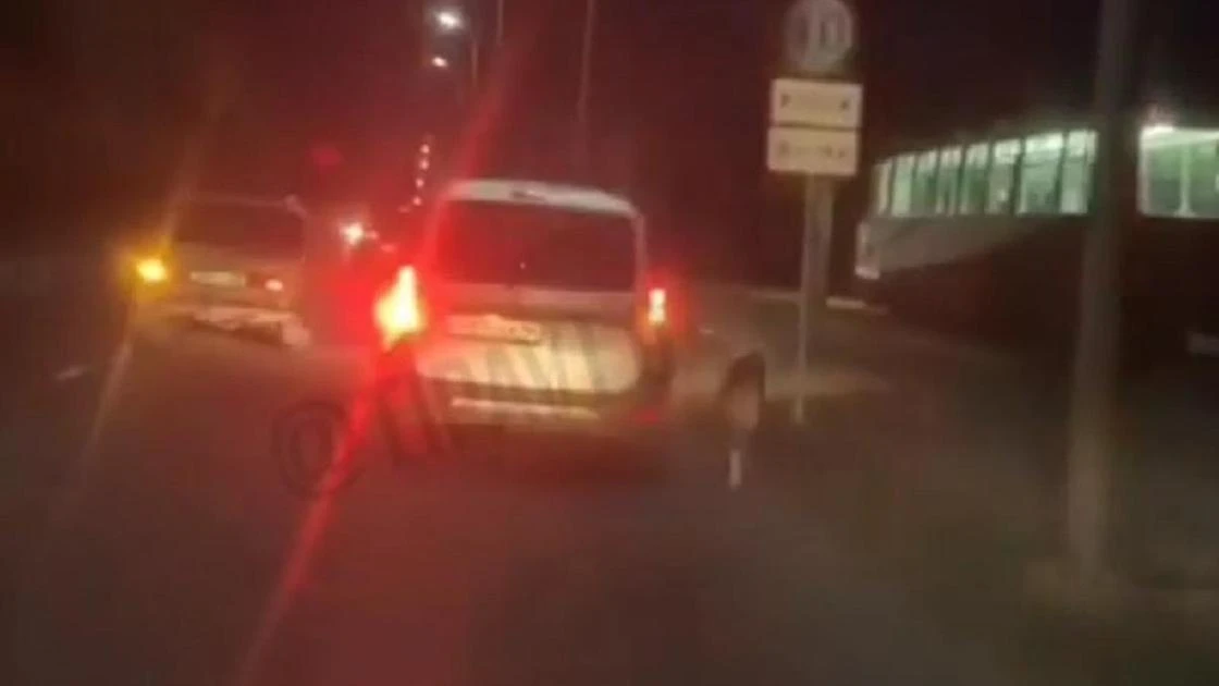 Привязанную к движущейся машине собаку сняли на видео в Павлодаре