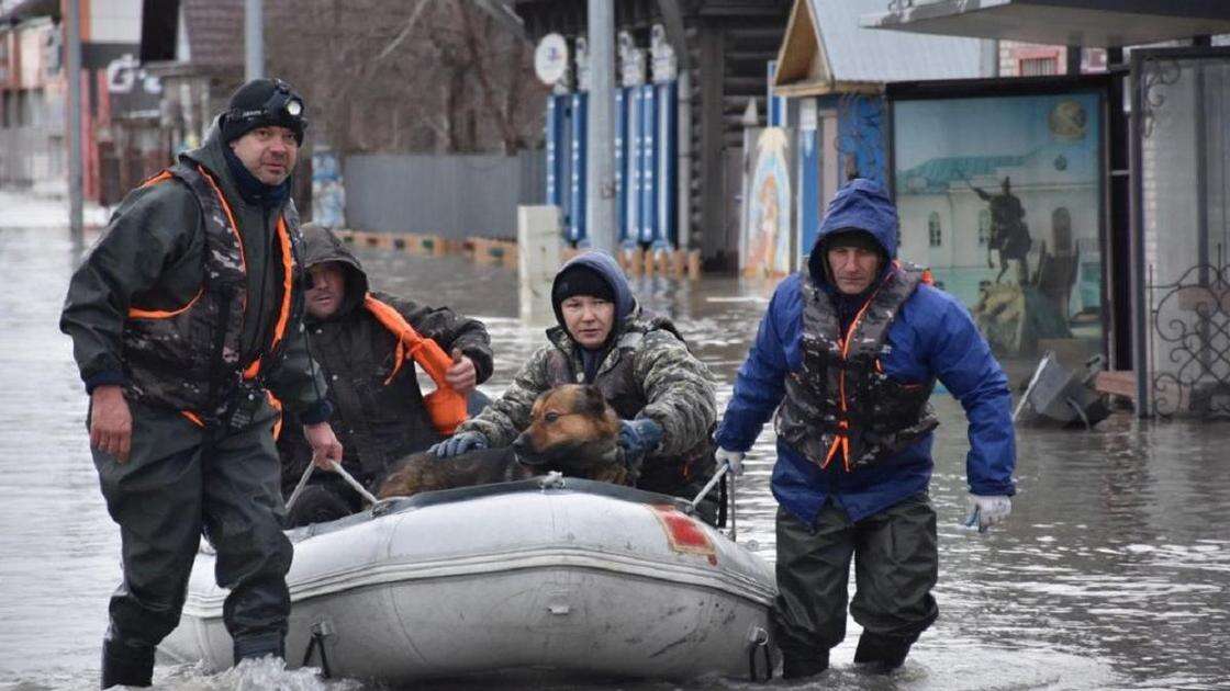 Сколько казахстанцев из подтопленных районов уже вернулись в свои дома, рассказали в МЧС