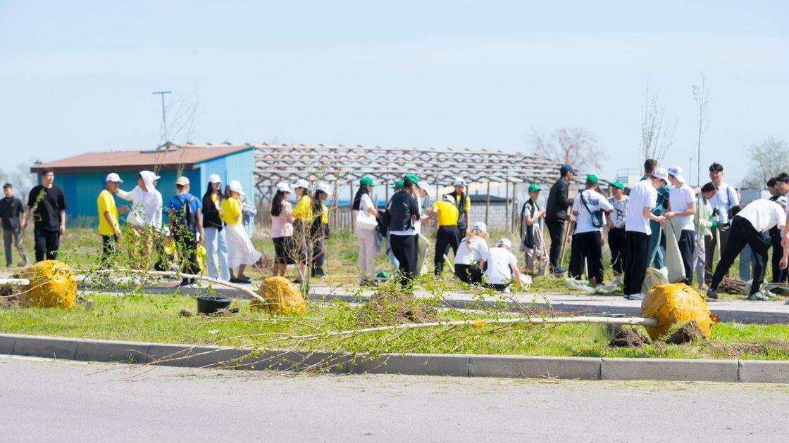 Аллея волонтеров появилась в Алматинской области