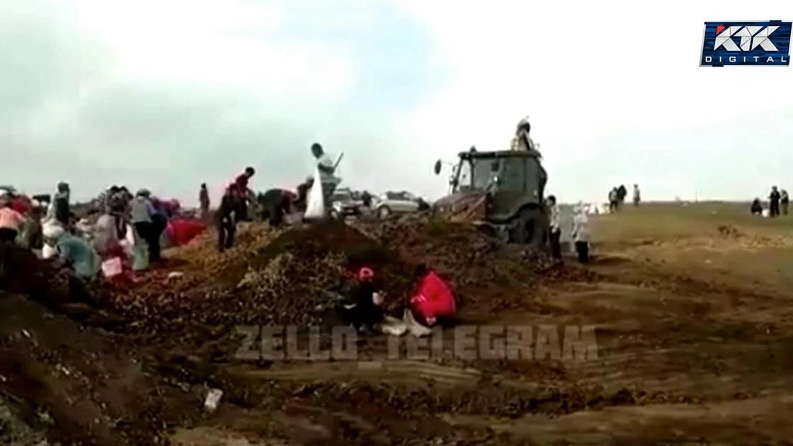 Актюбинцы поссорились с полицейскими из-за бесплатной моркови