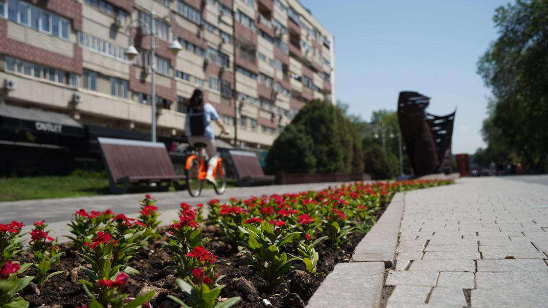 Сильные землетрясения смогут заранее предсказывать в Алматы