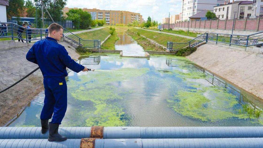 Известный своим запахом ручей в Астане решили заселить зелеными водорослями