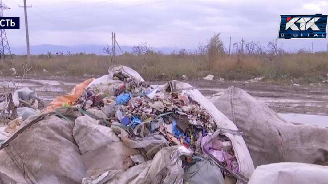 Вонь и туши животных: алматинцы пожаловались на стихийную свалку