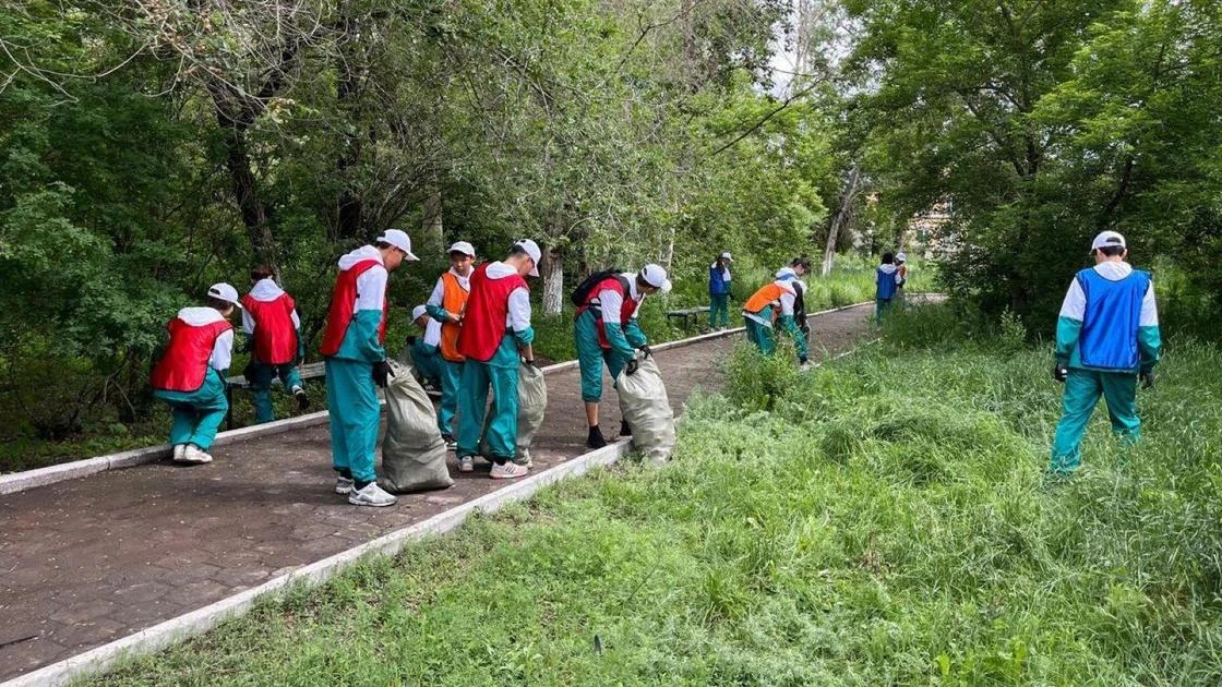 Экологический квест 
