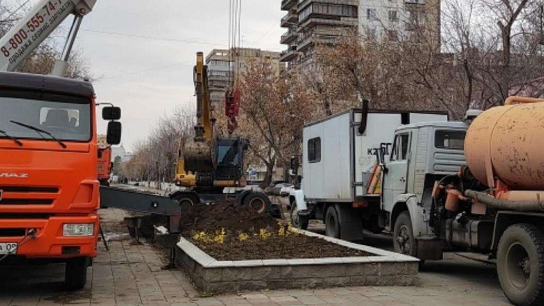 Клумбу с цветами разгромили в центре Караганды