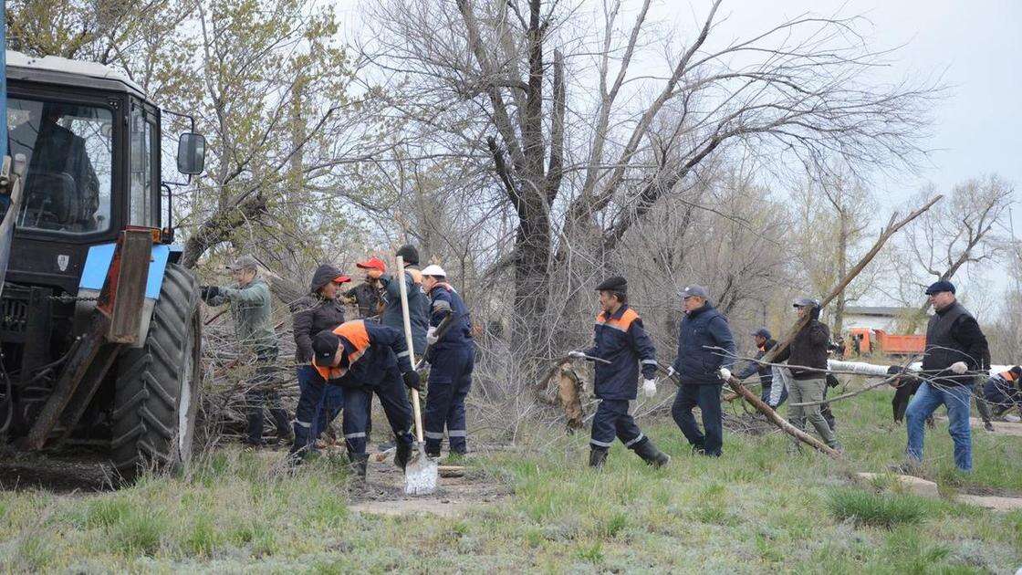 Сотрудники Национального ядерного центра РК провели субботник в городе Курчатов области Абай