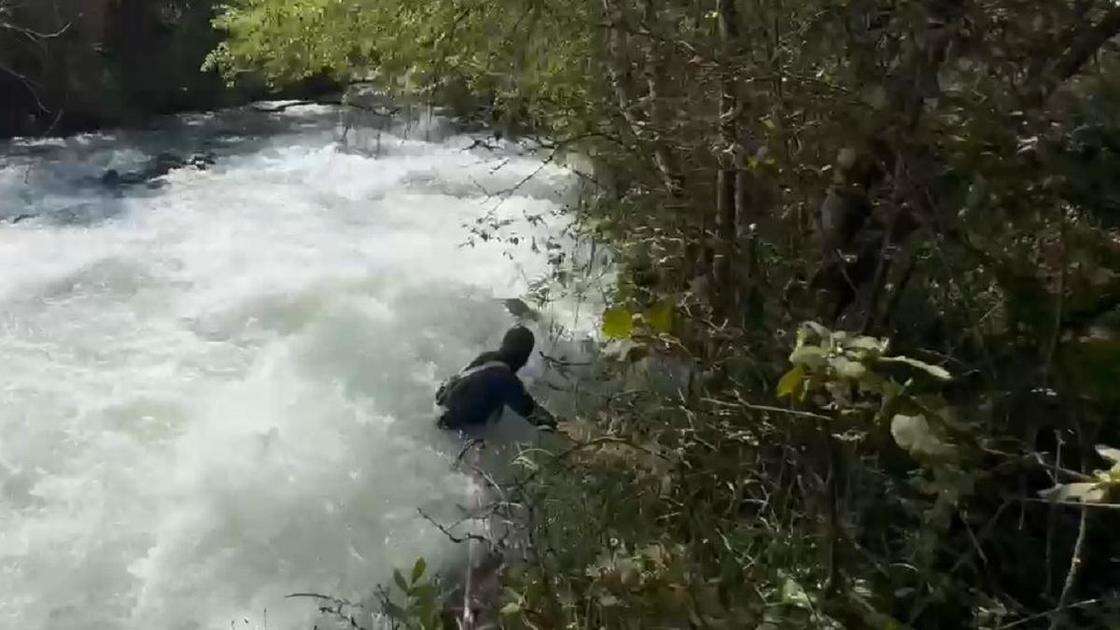 Тело упавшей в горную реку во время фотосессии девушки нашли в Туркестанской области