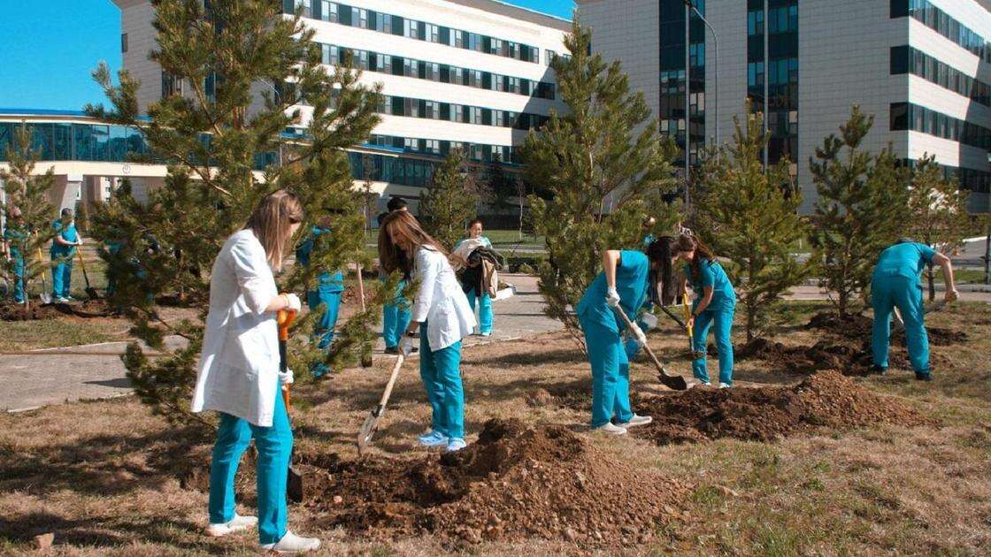 Столичные врачи высадили деревья в поддержку детей с лейкемией