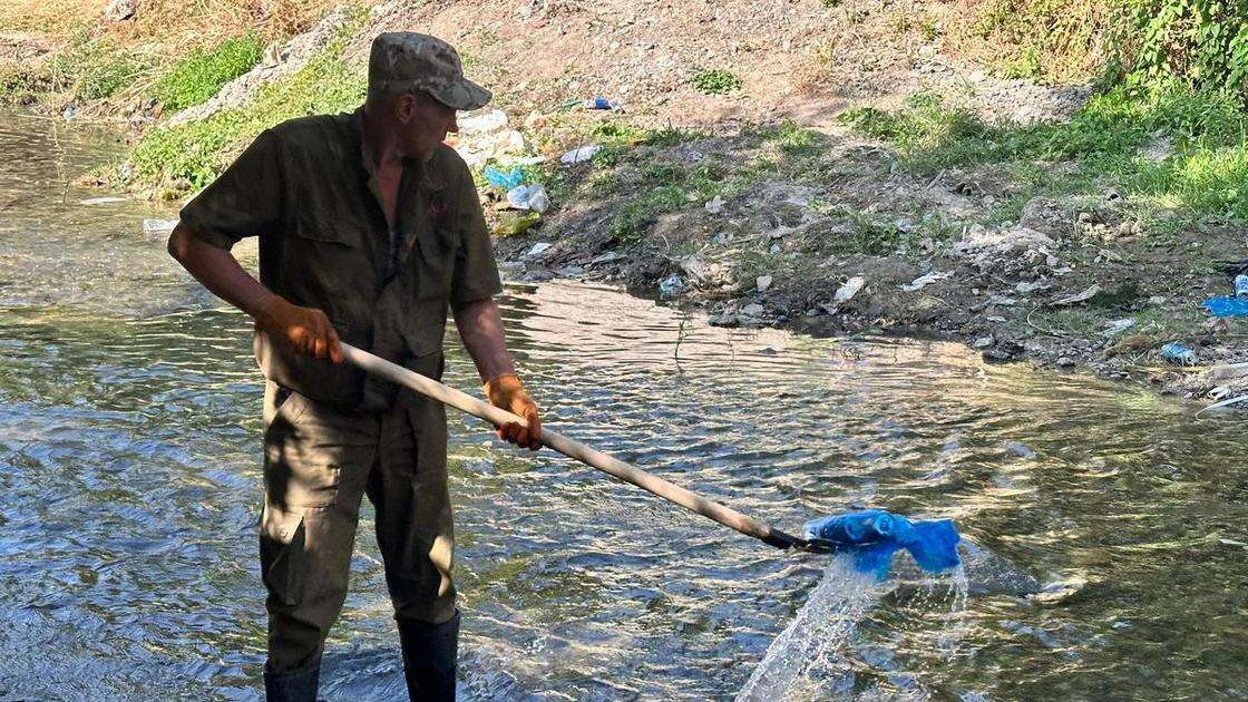 В Шымкенте прошли субботники в рамках акции 