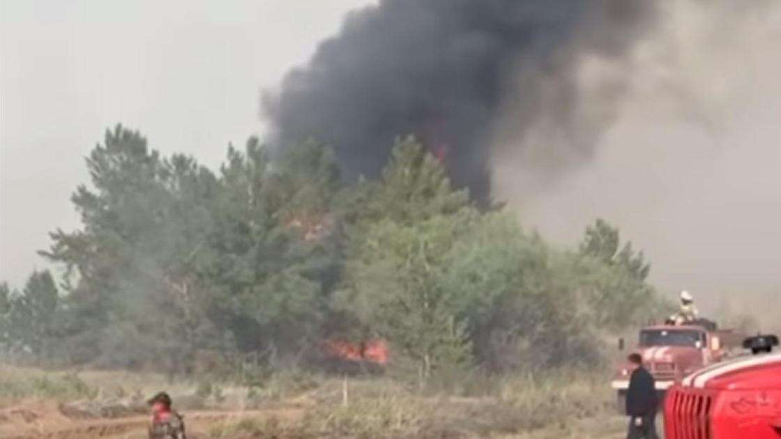 Дело о гибели людей в крупном лесном пожаре в области Абай рассмотрели в апелляции