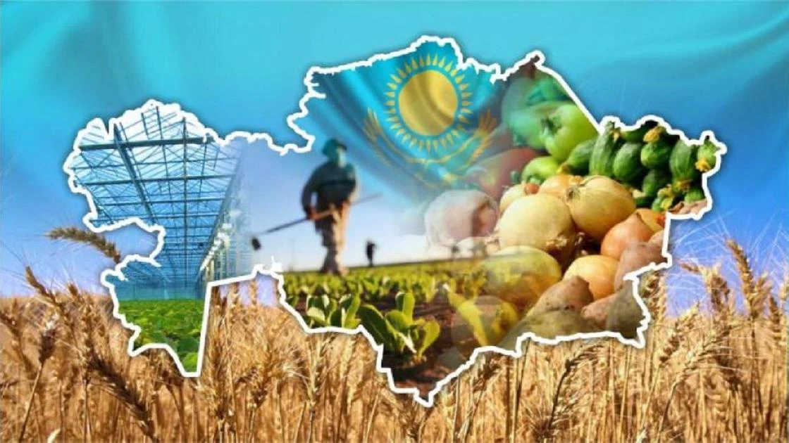 Казахстанские аграрии соберут урожай в положенные сроки