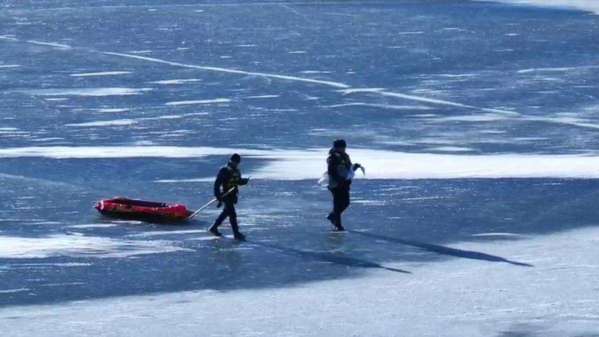 Спасение раненого лебедя попало на видео в Актюбинской области