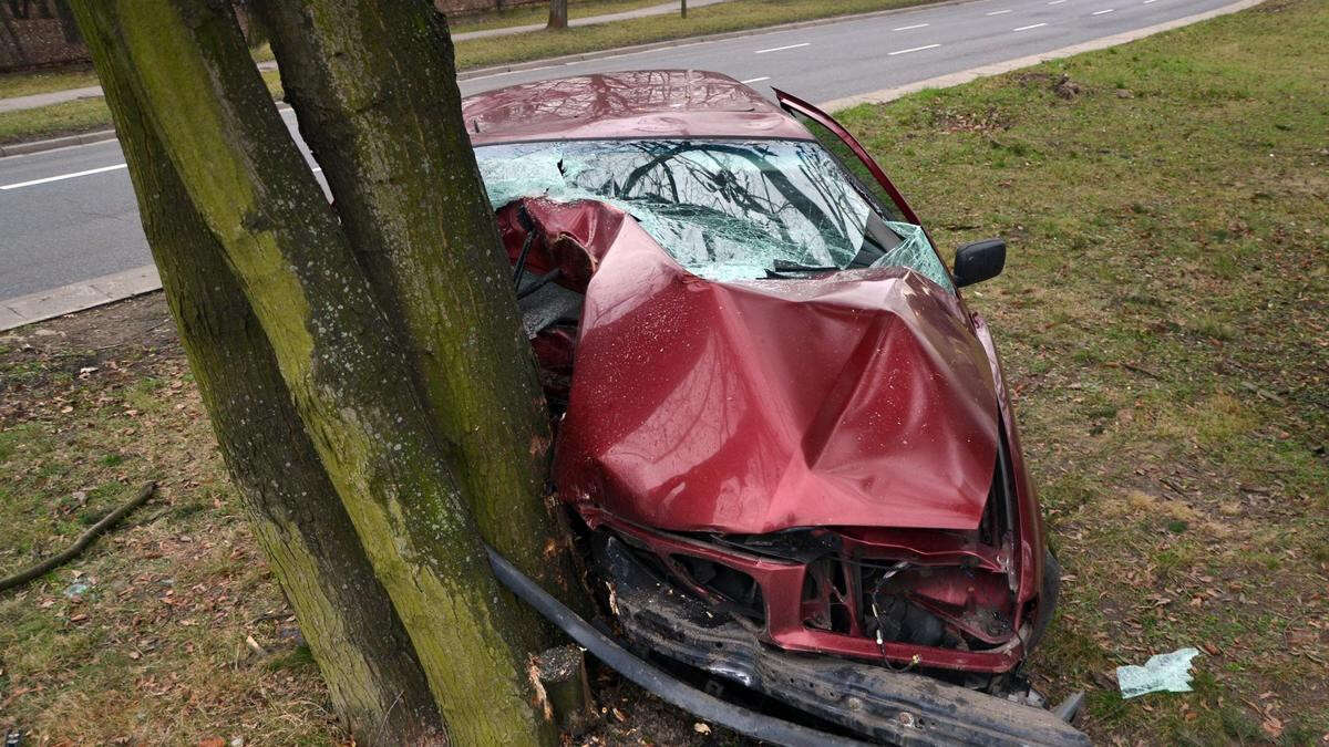 Автомобиль въехал в дерево: четыре человека погибли под Алматы