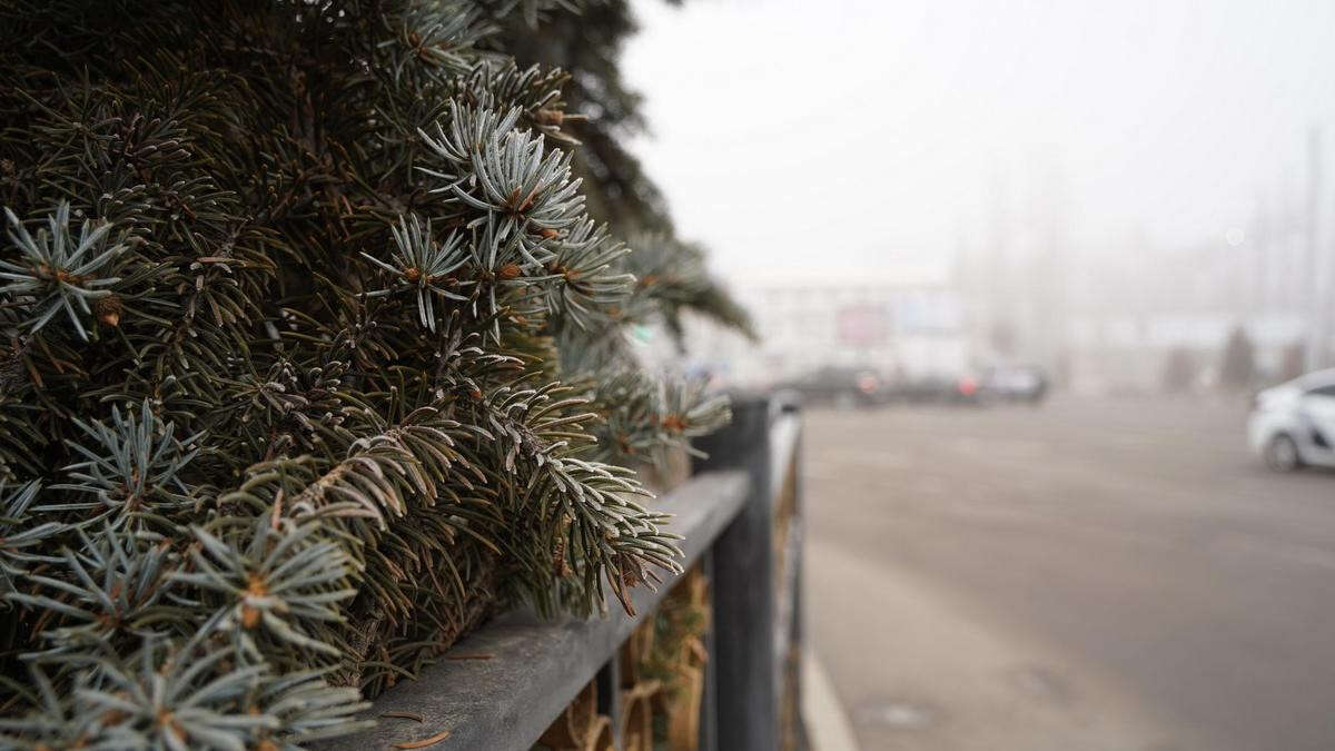 Плюсовую температуру пообещали в двух мегаполисах Казахстана сегодня