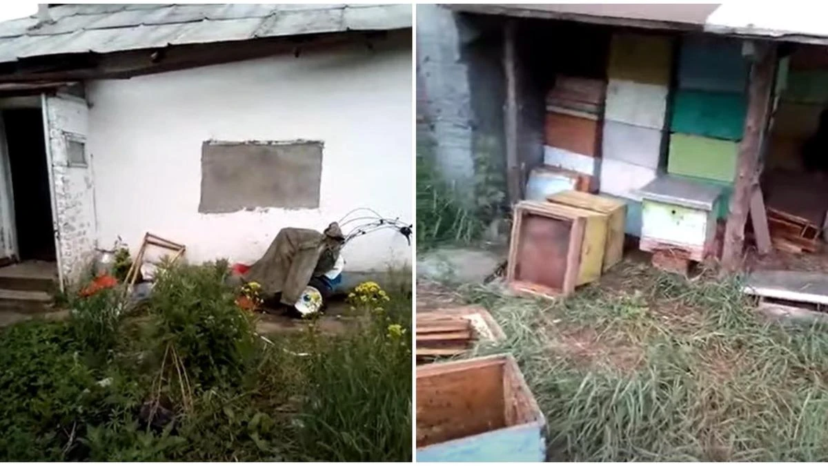 Медведь гонялся за мужчиной во дворе дома в ВКО (видео)