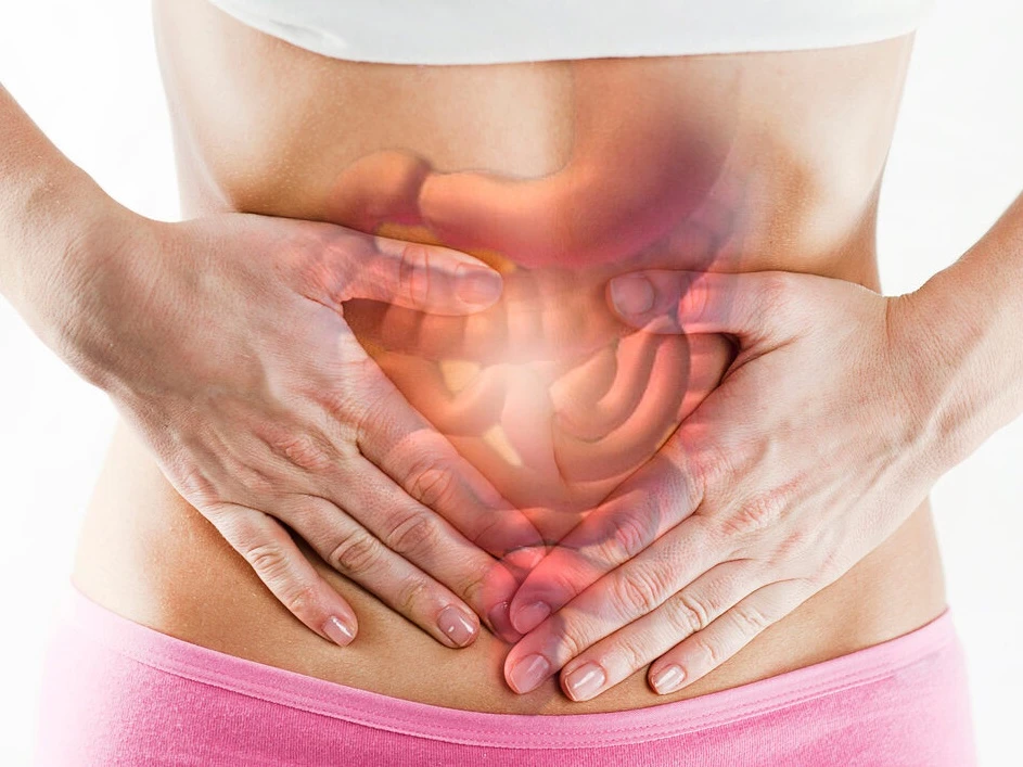 Mikrobiom i mikrobiota – charakterystyka, funkcje, różnice