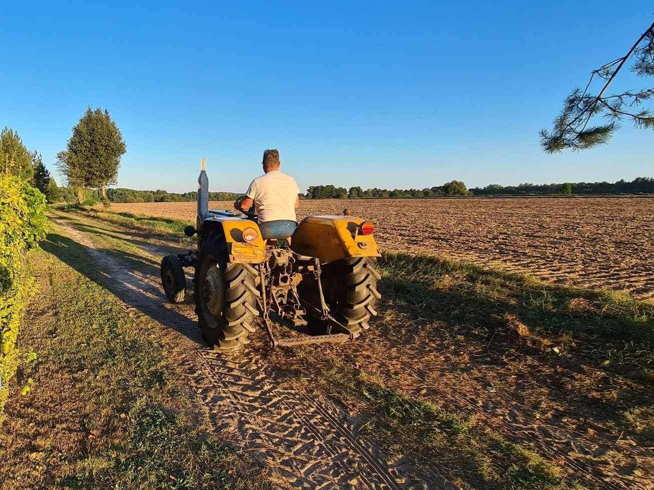 Rolnicy mogą liczyć na umorzenie składek. Przepisy właśnie weszły w życie