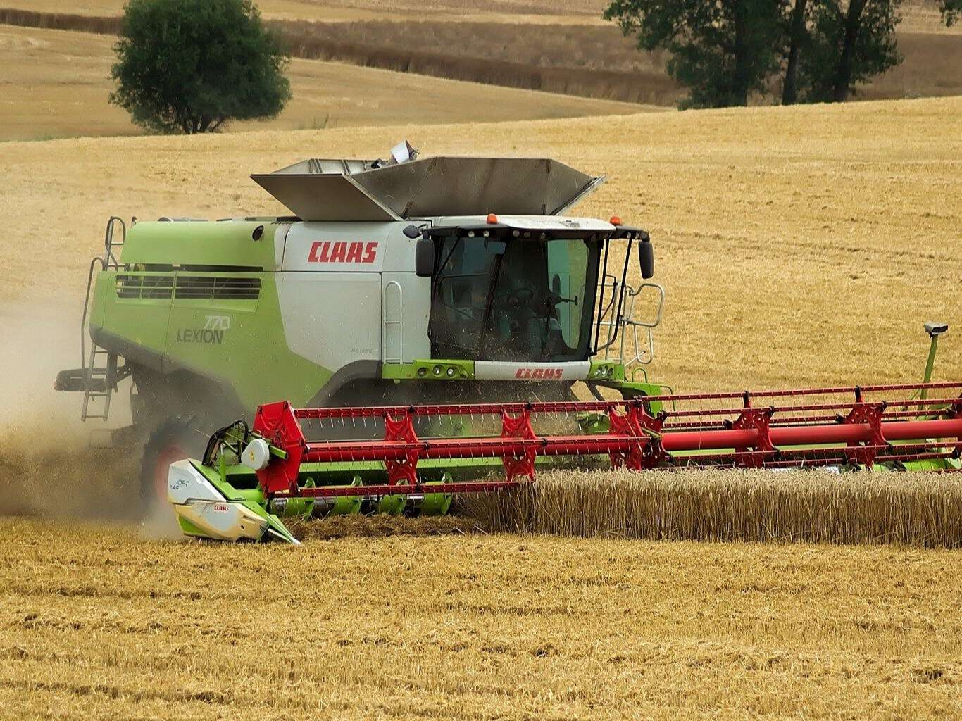 Polska spółka sprowadzała zboże z Ukrainy. Prezes nie czuje się winny