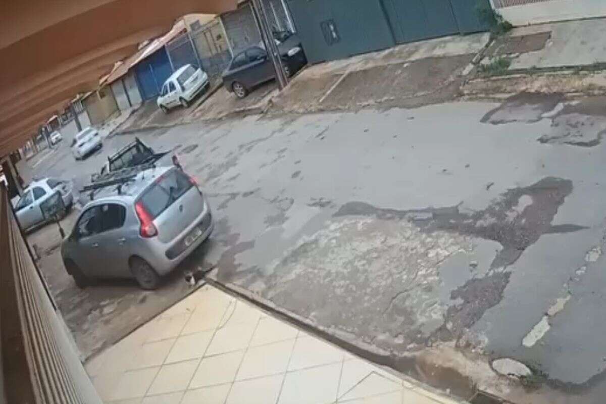 Mulher chuta, atropela e mata gato em área residencial do DF