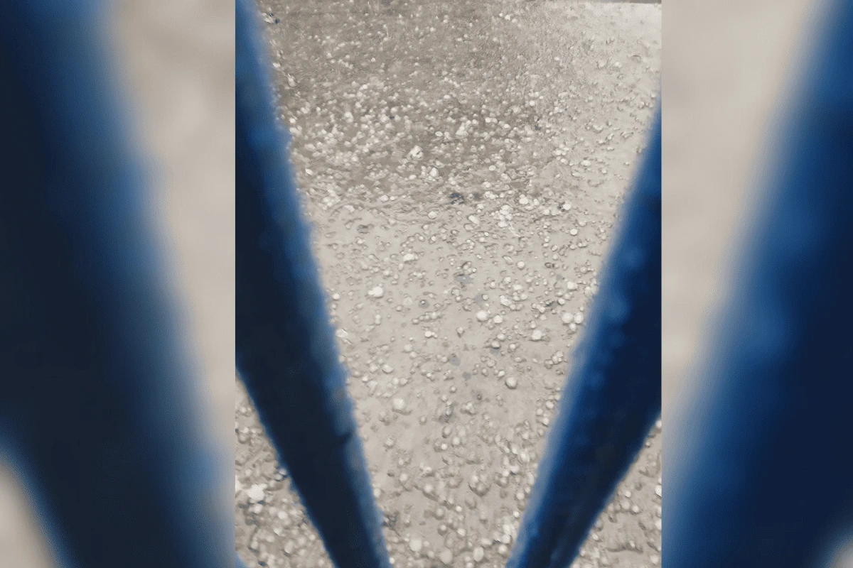 Vídeo: cidade de SP tem chuva de granizo e árvores caídas nesta 5°