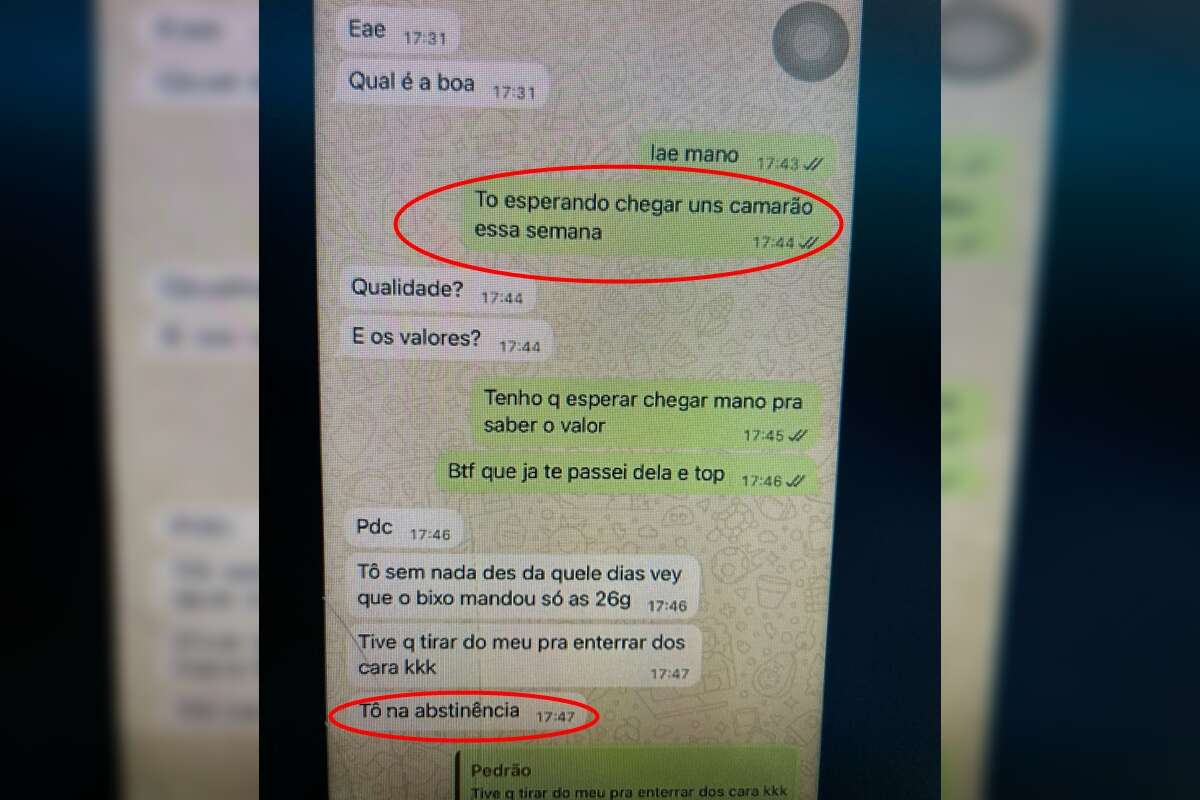 Preso encomendava e vendia maconha por zap: “Tem camarão nessa semana”