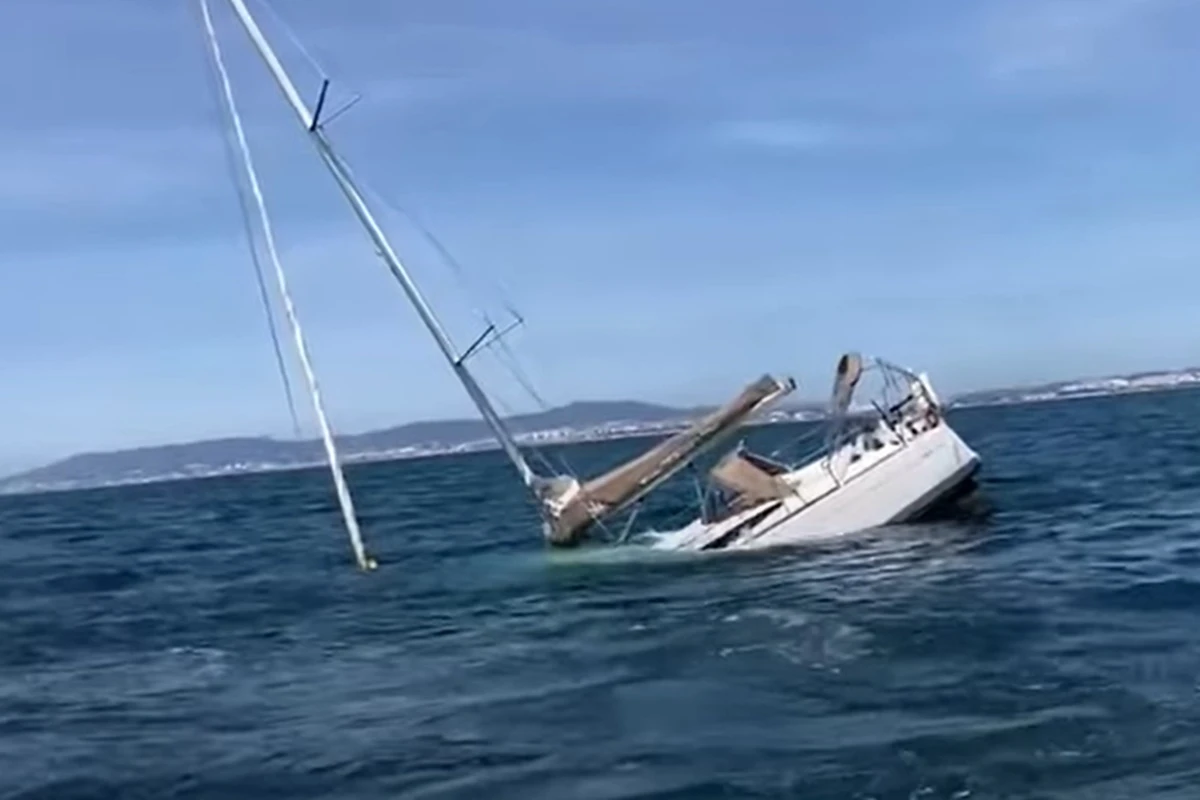 Baleia assassina? Orcas afundam barco com 5 pessoas em Portugal; vídeo