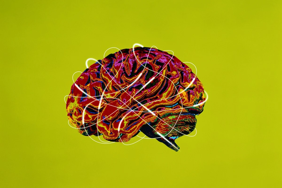 Cientistas identificam área do cérebro que se degrada com Alzheimer