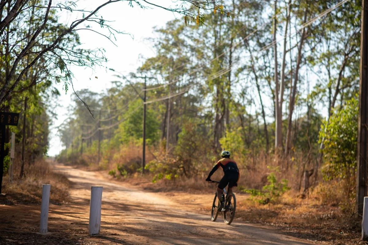Dê sua opinião: projeto prevê cobrança de entrada na Flona de Brasília