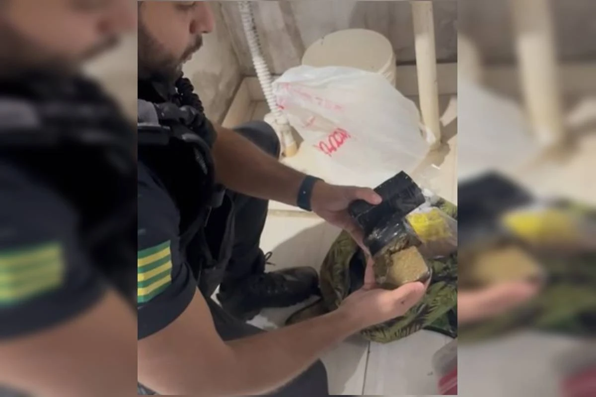PCGO cumpre 29 mandados de prisão por tráfico de drogas em 4 estados