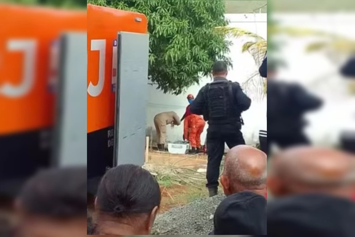 Adolescente disse que namorada o induziu a ocultar corpos dos parentes