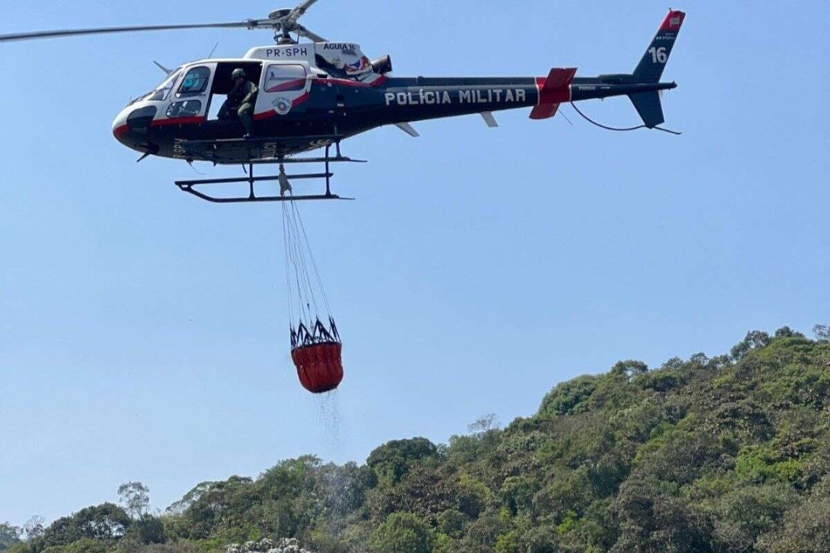 Governo Tarcísio libera R$ 10 mi para ações de combate às queimadas