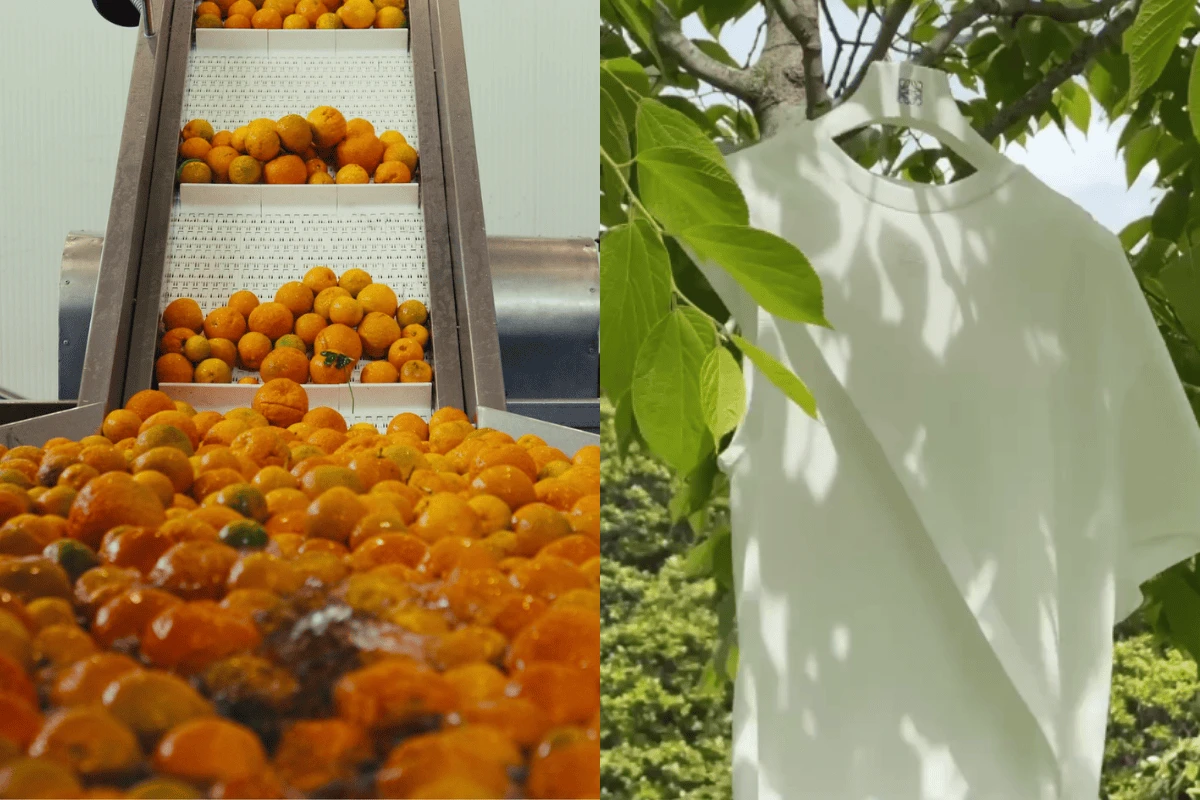 Loewe: cascas de laranja são transformadas em camiseta sustentável