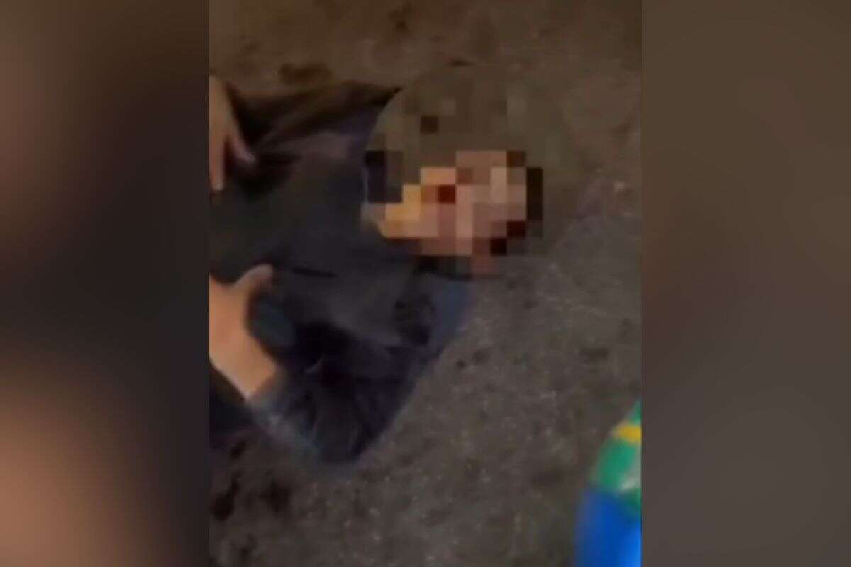 Vídeo: homem é atropelado por carro após tentar roubar moto em SP