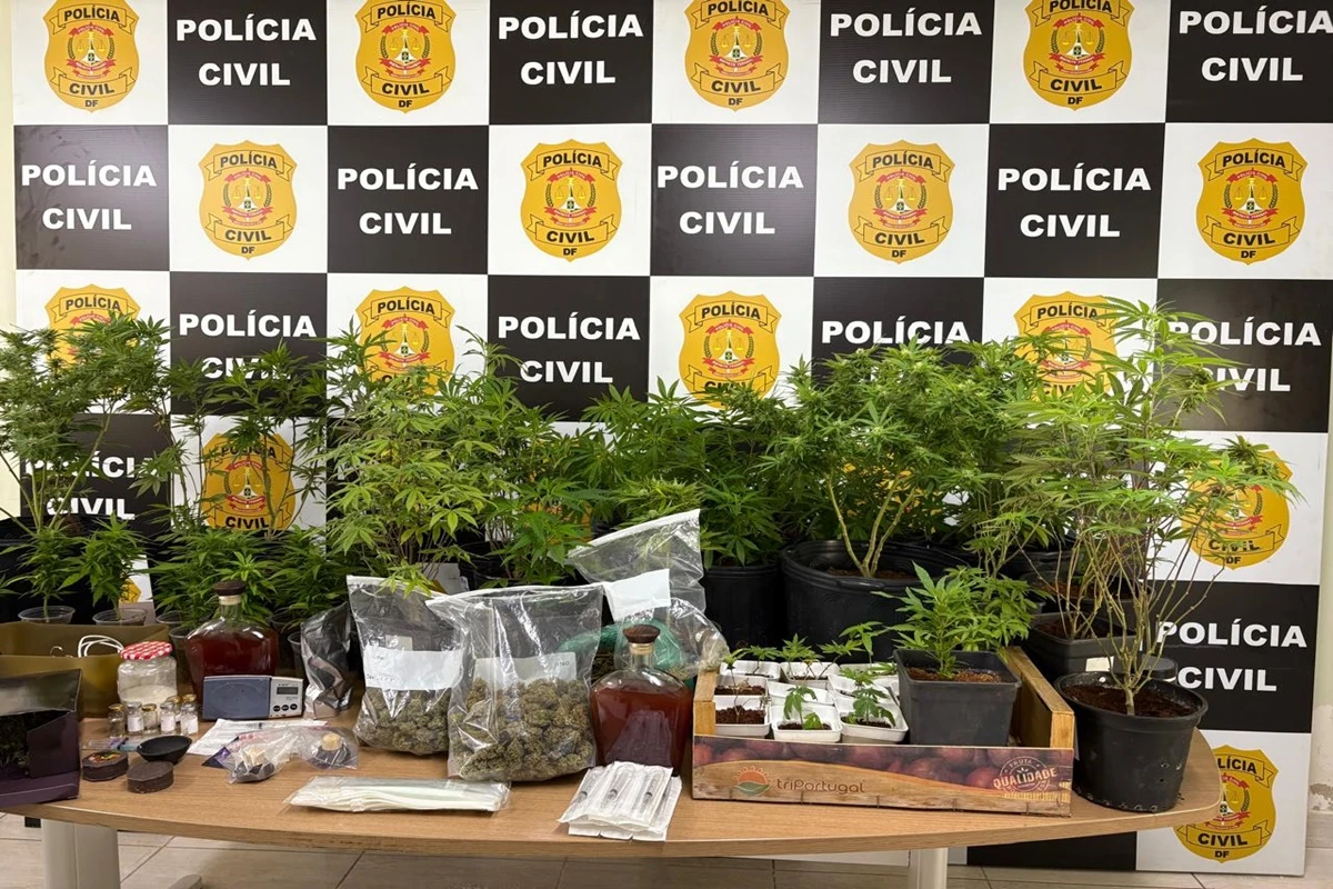 “Advogado da erva” é preso novamente por vender drogas pelo Instagram