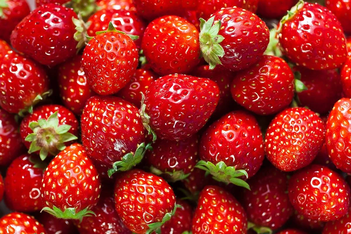 Comer 2 morangos por dia ajuda na saúde? Saiba os benefícios da fruta