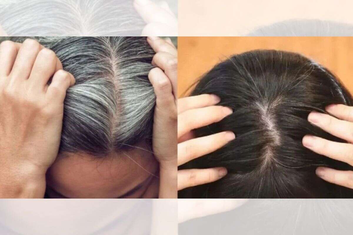 Tonalizante natural cobre fios brancos e hidrata o cabelo; aprenda