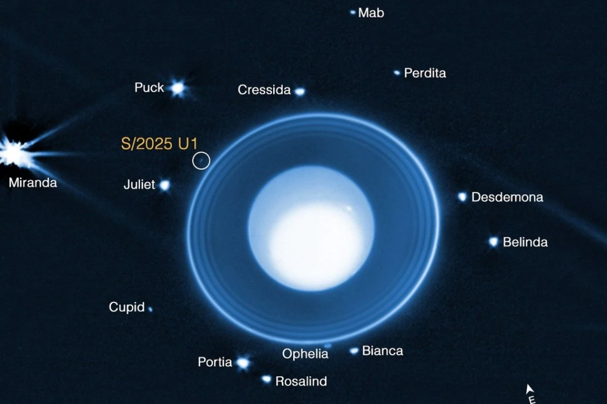 Vídeo: Nasa descobre nova lua orbitando planeta do Sistema Solar