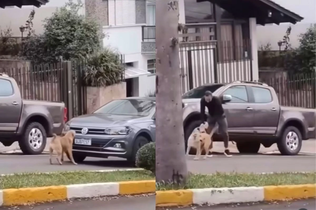 Vira-lata para trânsito, bloqueia carro de policial e “cobra” multa