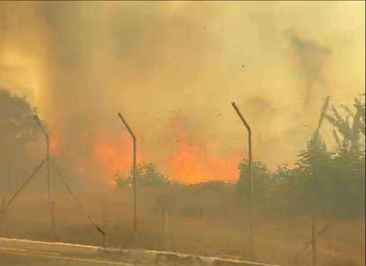 Vídeos: incêndio avança e deixa parque no Guará em chamas