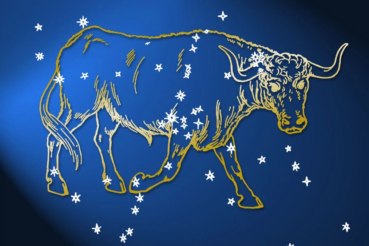 Veja o que nunca fazer se quiser conquistar nativos do signo de Touro