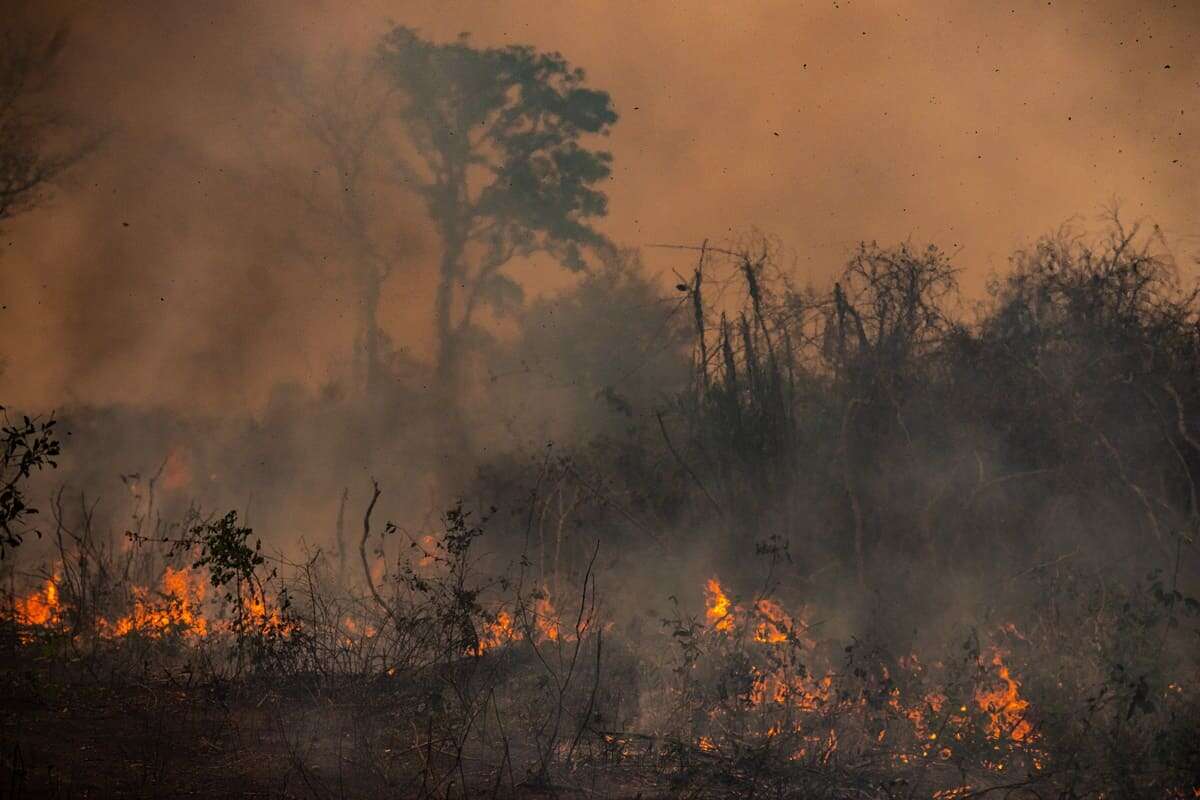 Deputados pedem aumento de pena para quem provoca incêndios florestais