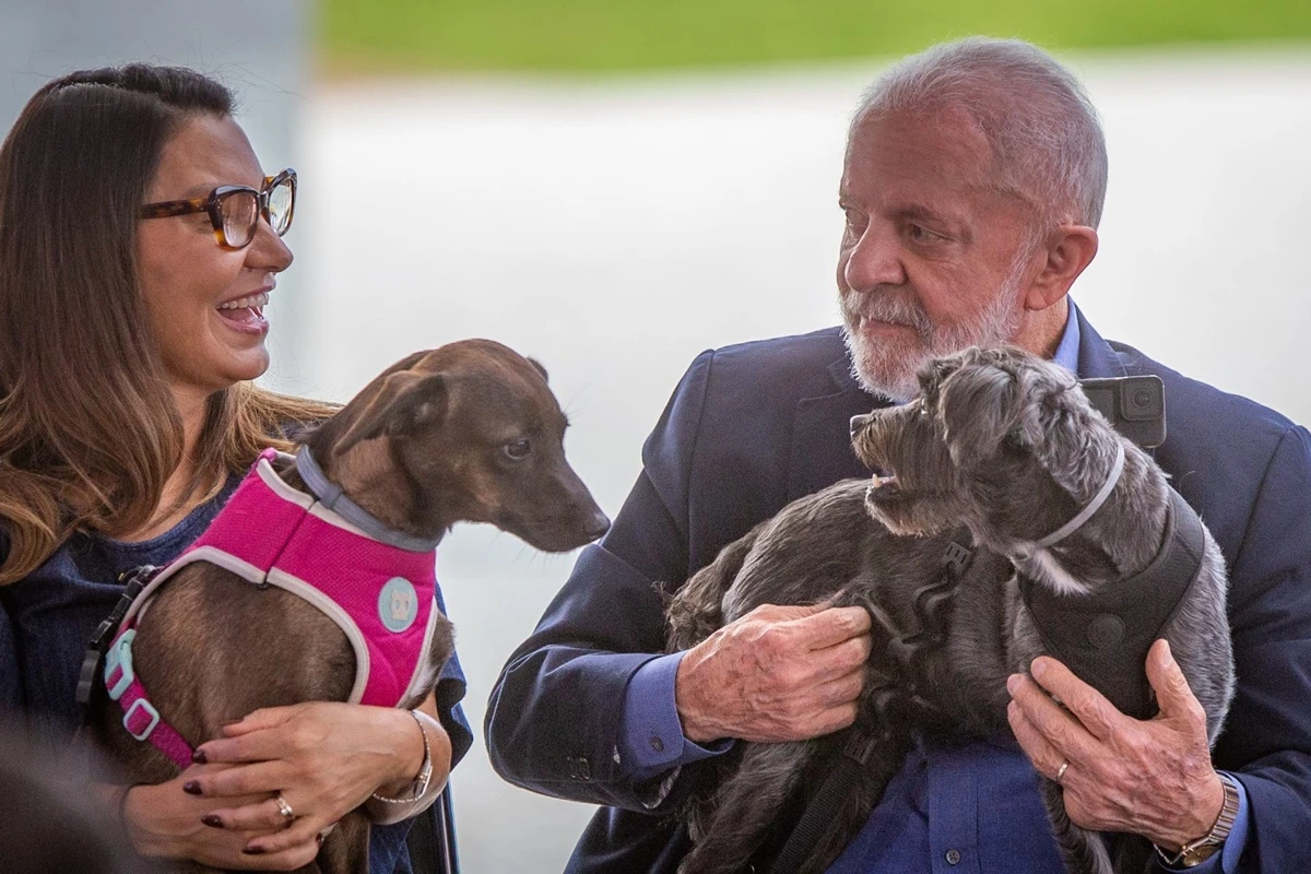 SinPatinhas: com seus cachorros, Lula lança “RG Animal” gratuito