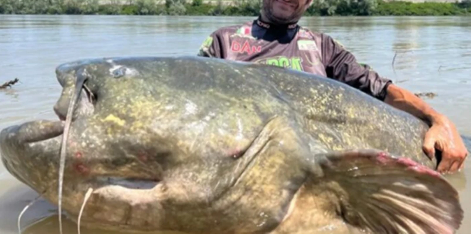 Bagre gigante de quase 3 metros bate recorde e viraliza nas redes
